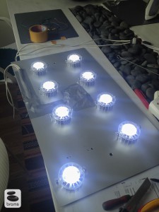 Eheim´s Powerled är en av de bättre LEDsen på marknaden. Här har jag kopplat ihop 8st för att ge en lagom mängd ljus till min ena tvillingburk.